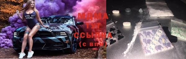 индика Абаза