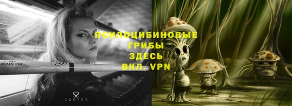 индика Абаза