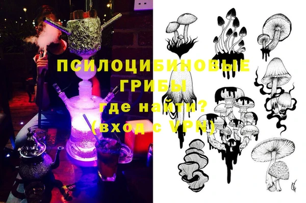 индика Абаза