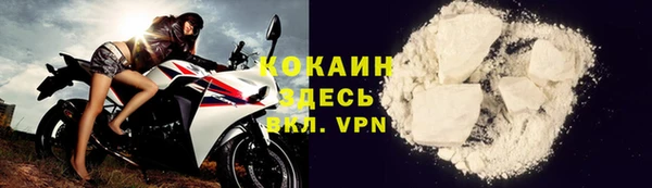 индика Абаза