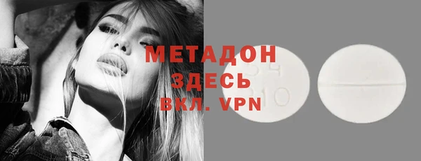 индика Абаза