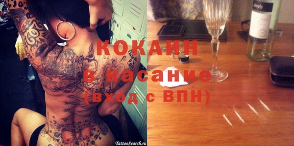 индика Абаза