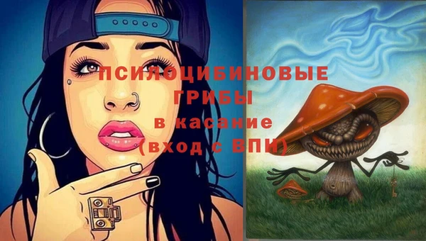 прущая мука Абинск