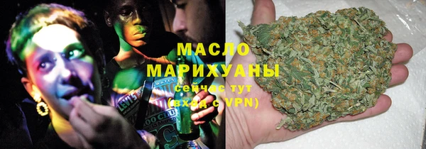 индика Абаза