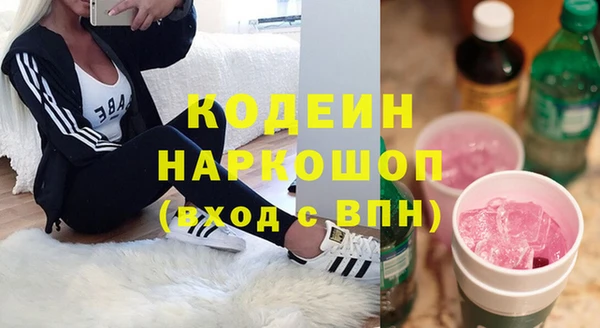 индика Абаза