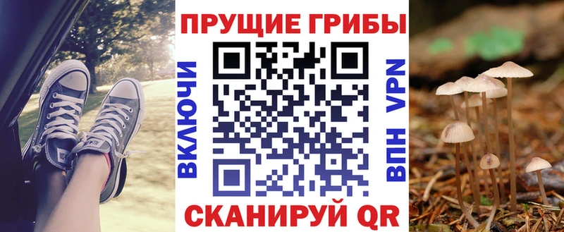 Галлюциногенные грибы ЛСД  маркетплейс телеграм  Судогда  как найти закладки 